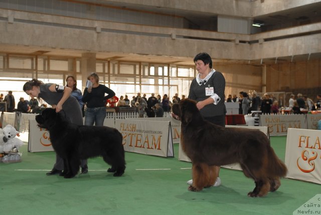 Фотография № 81727