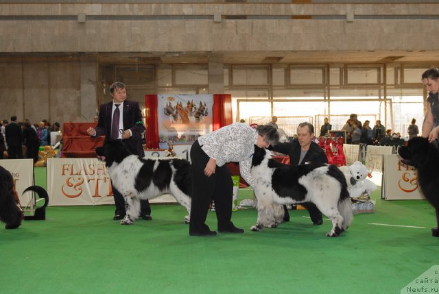 Фотография № 81729