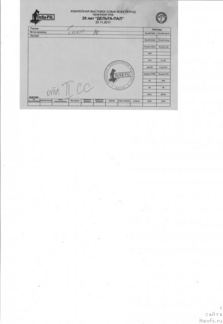 Фотография № 81735