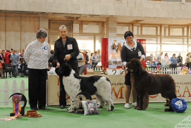 Фотография № 81736