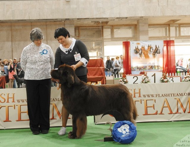 Фотография № 81737