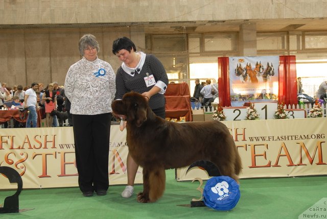 Фотография № 81738