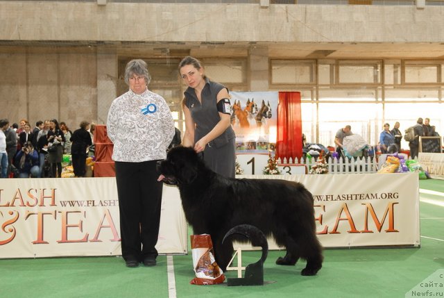 Фотография № 81739