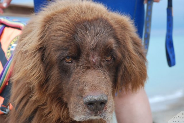 Фотография № 81793