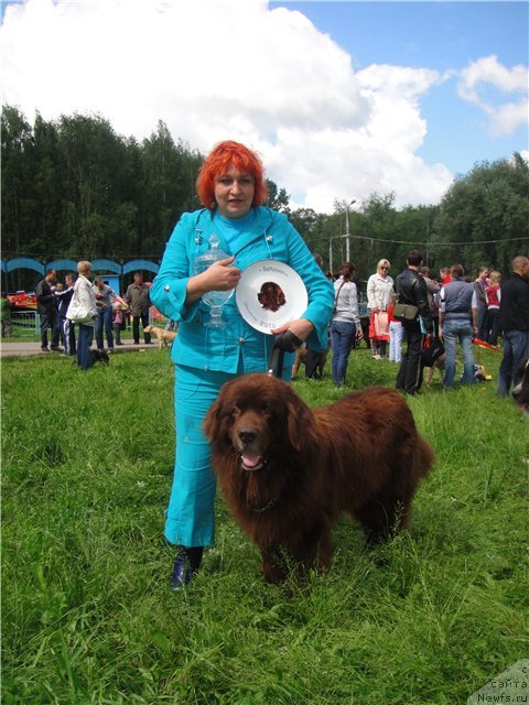 Фото: ньюфаундленд YUdjin s Berega Dona (Юджин с Берега Дона), Liliana Rahmatova (Лилиана Рахматова)