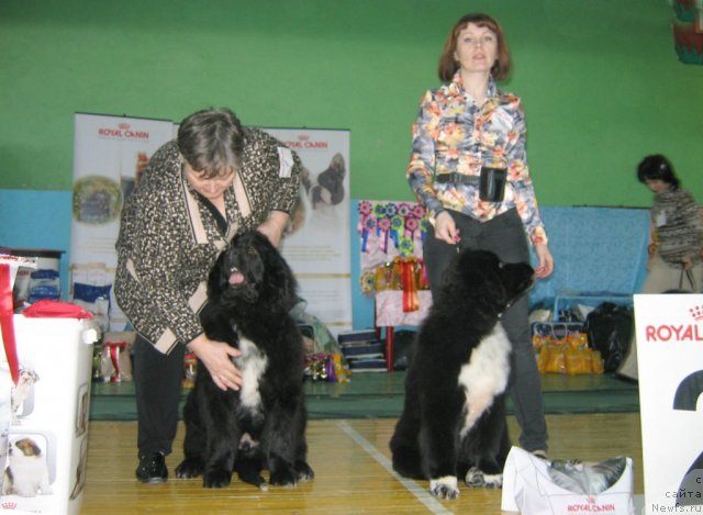 Фотография № 81803