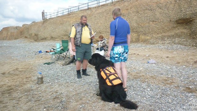 Фотография № 81804