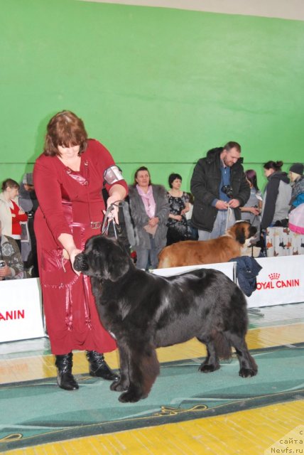 Фотография № 81845