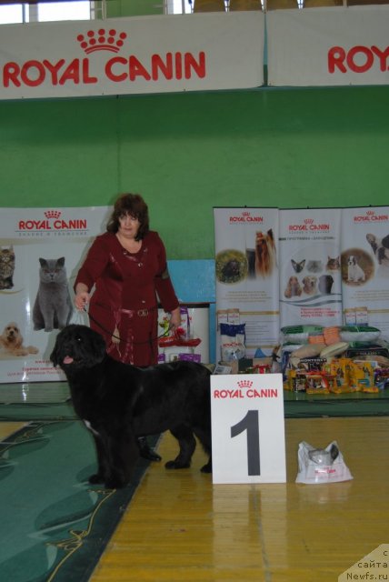 Фотография № 81846