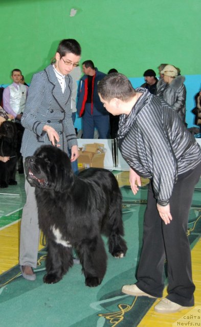 Фотография № 81847