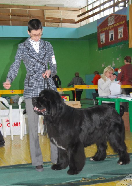 Фотография № 81848