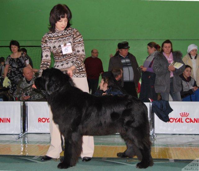 Фотография № 81849