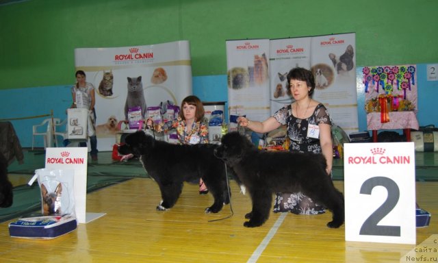 Фотография № 81851