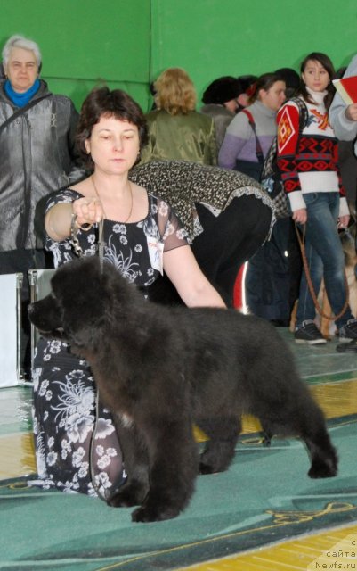 Фотография № 81852