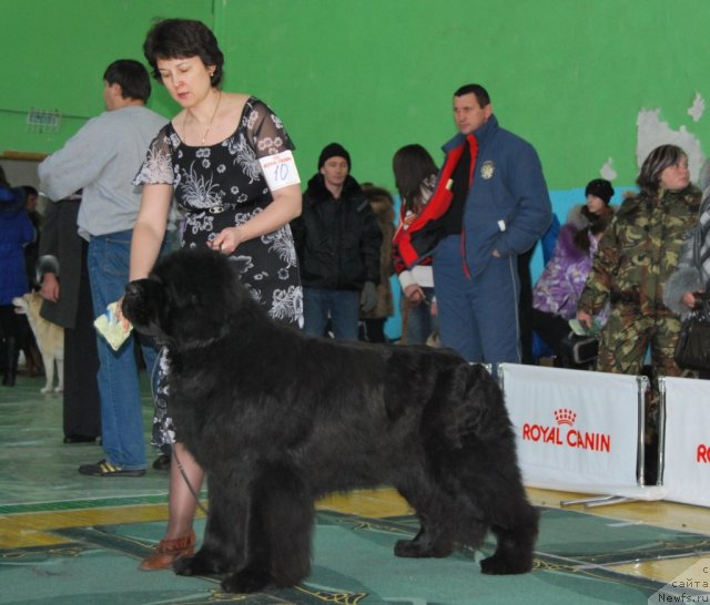 Фотография № 81854