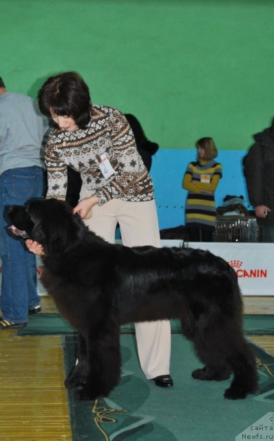 Фото: Svetlana Vasil'chuk (Светлана Васильчук), Bear`s Cove Lucky Break