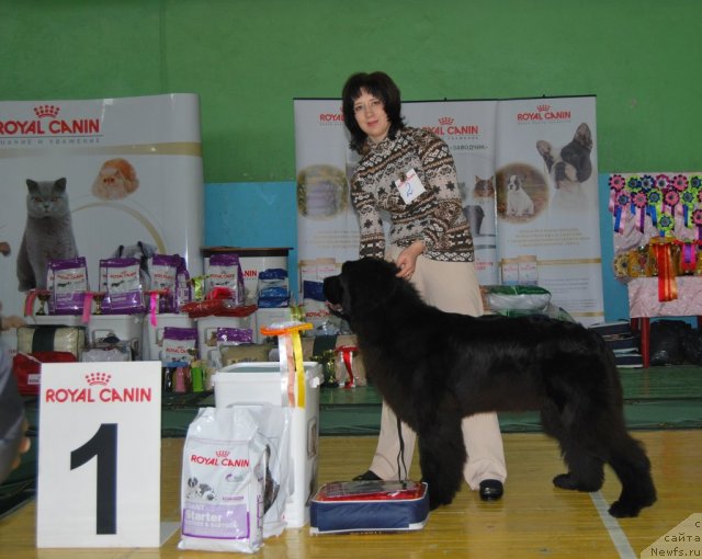 Фотография № 81857