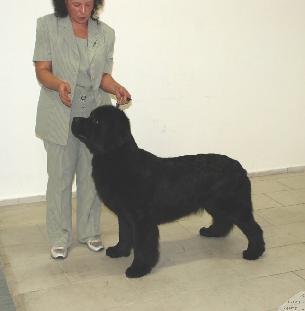 Фотография № 81870