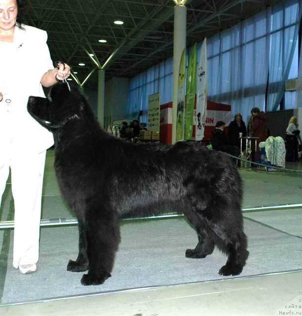 Фотография № 81893