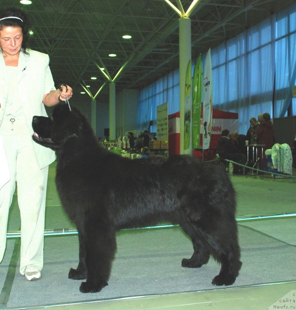 Фотография № 81894