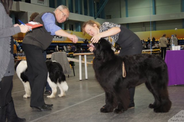 Фотография № 81895