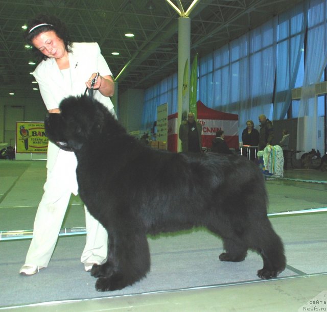 Фотография № 81904