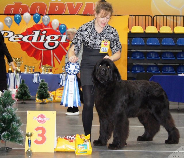 Фотография № 81905