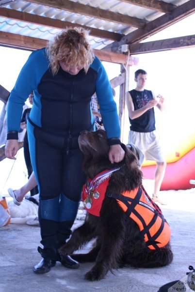 Фото: Юджин, ньюфаундленд YUdjin s Berega Dona (Юджин с Берега Дона)