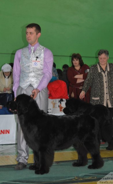 Фотография № 81912