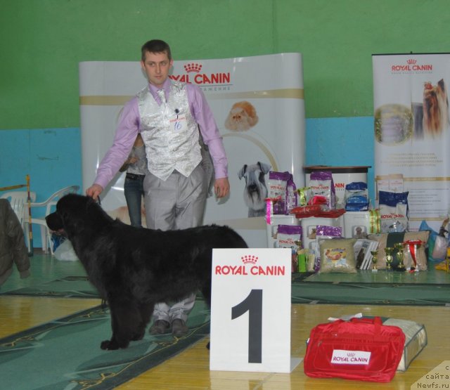 Фотография № 81913