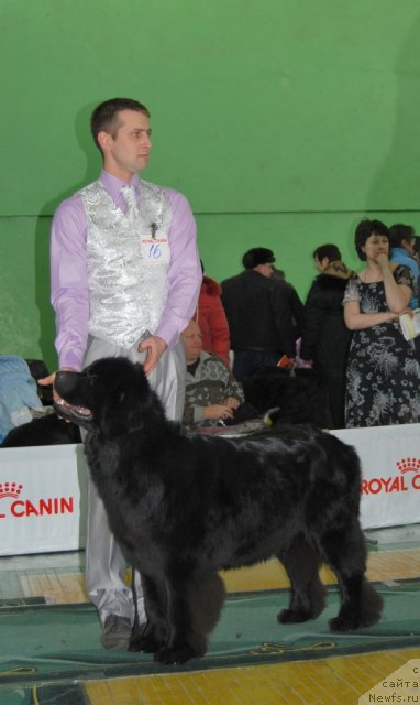 Фотография № 81914