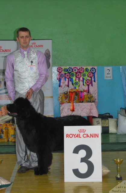 Фотография № 81915