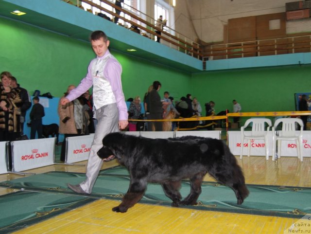 Фотография № 81916