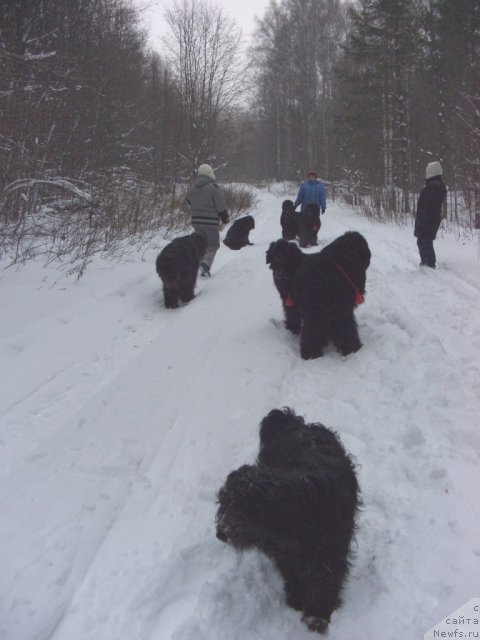 Фотография № 81965