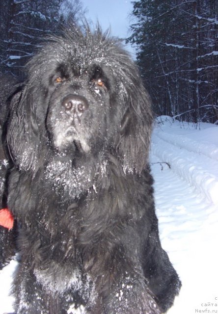 Фотография № 81970