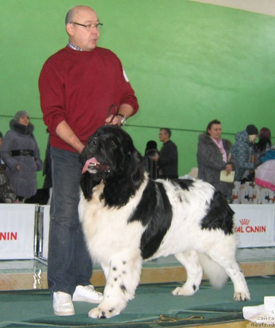 Фотография № 81986