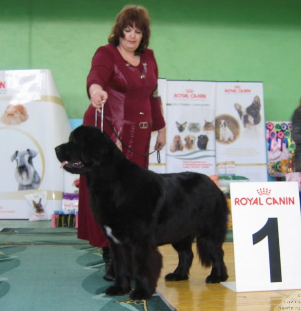 Фотография № 81988