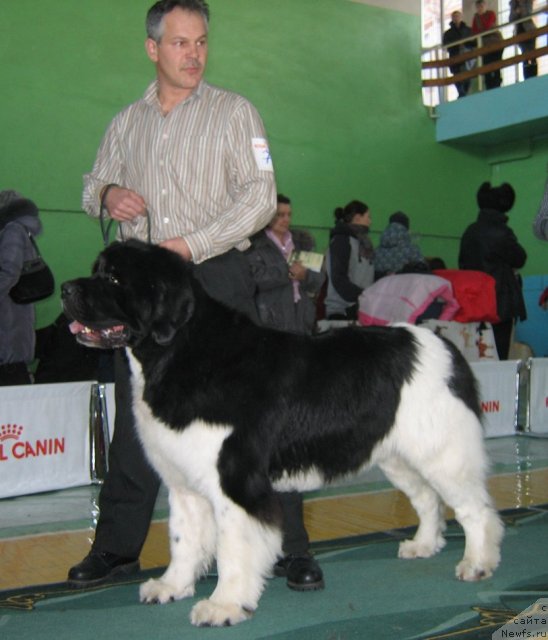 Фотография № 81991