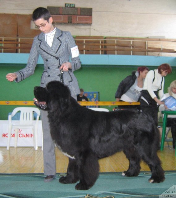 Фотография № 81992