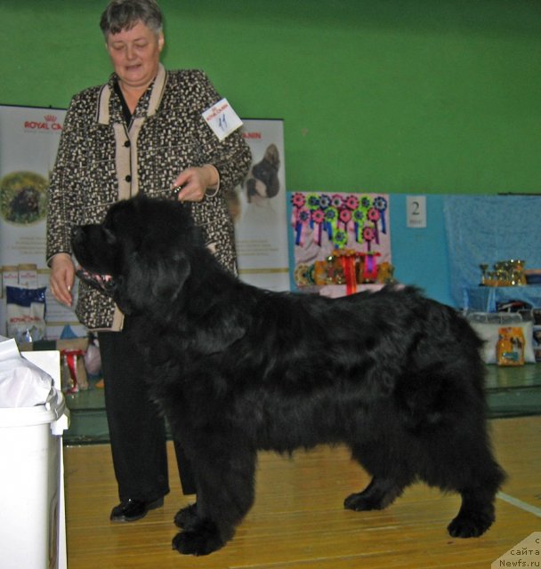 Фотография № 81994