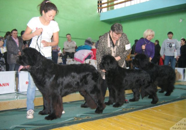 Фотография № 81996