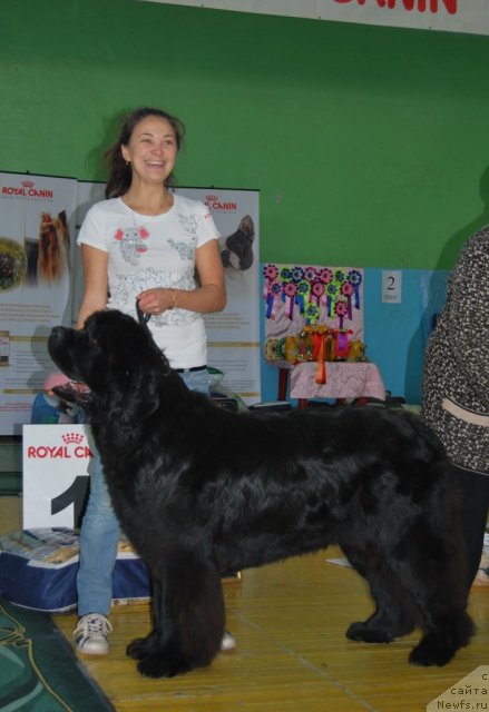 Фотография № 82003