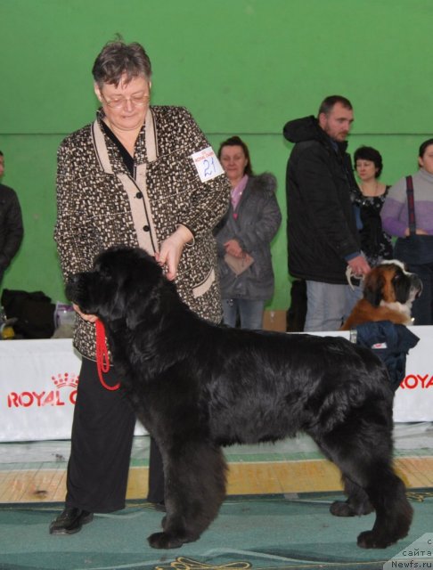 Фотография № 82007