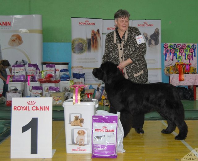 Фотография № 82010