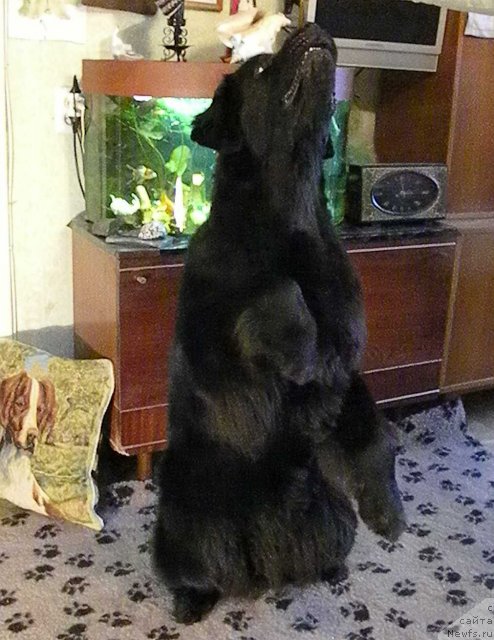 Фотография № 82016