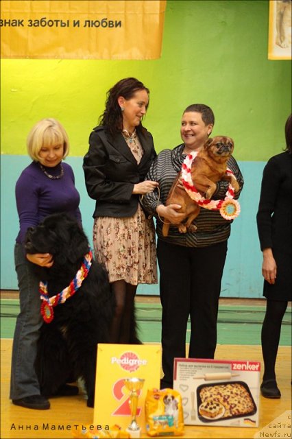 Фотография № 82071