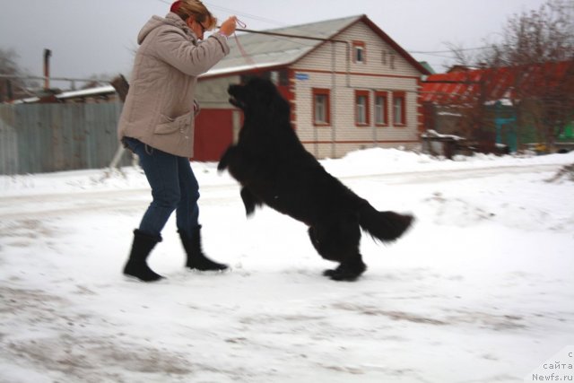 Фотография № 82089