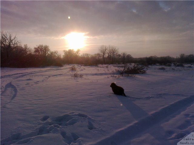 Фотография № 82105