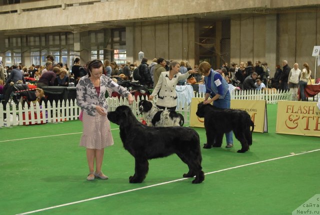 Фотография № 82120