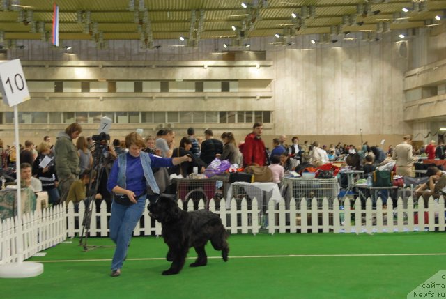 Фотография № 82121